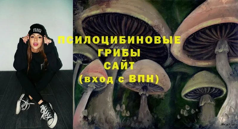 Галлюциногенные грибы Magic Shrooms  ОМГ ОМГ онион  Лаишево  купить наркоту 